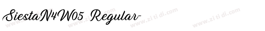 SiestaN4W05 Regular字体转换